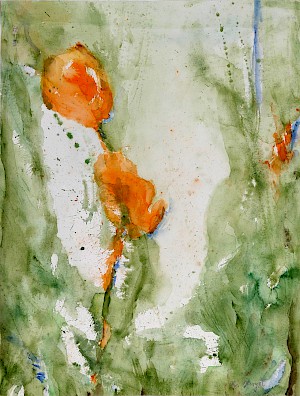 Orange Blüten