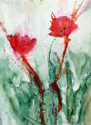 Roter Mohn