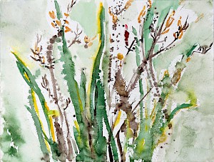 Bunte Gräser
