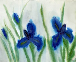 Iris
