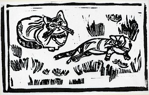 Zwei Katzen auf der Wiese
